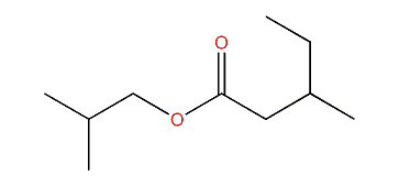 Isobutyl 3-methylpentanoate